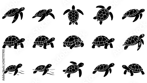 Set of black silhouette turtle icons showing different swimming and walking poses of sea animals