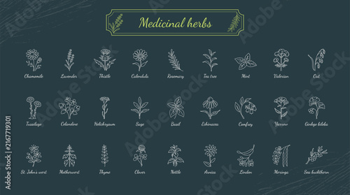 Medicinal Herbs Collection Line Art Icons on Dark Background