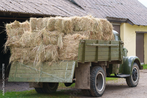 hay bales in a farm