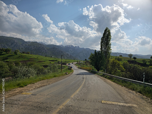 A towering tree stands beside a bridge on a winding road, dramatic clouds billowing above rolling green hillsides and distant snow-capped peaks
📍Darband Dezli, Sarvabad, Kurdistan 