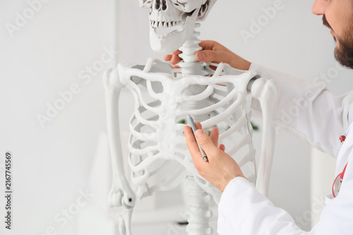 Fotografía Male doctor examining human skeleton model in clinic, closeup