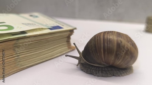a snail crawls on white paper towards a stack of copper coins