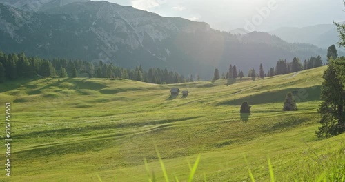 Golden light over Prato Piazza meadows in the Dolomites