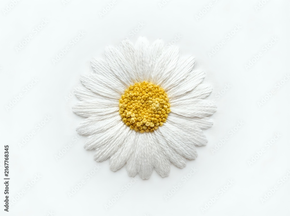 Obraz premium White daisy flower with bright yellow center on clean white