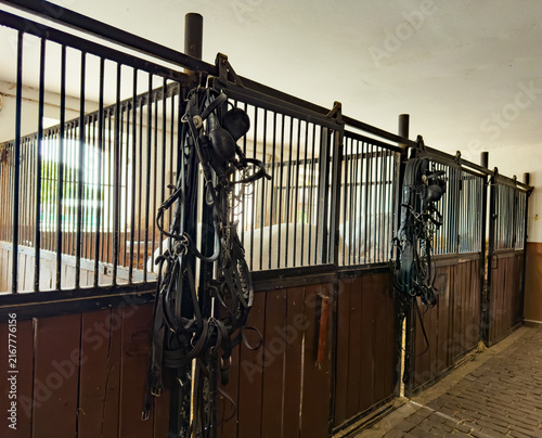 Quadro su tela Black horse harnesses hanging on wooden stall partitions
