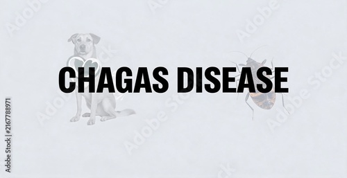 Chagas Disease awareness graphic with illustration of a dog and an insect