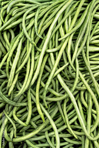 Canvastavla Yard Long Beans (Vigna unguiculata), also known as asparagus beans or snake beans
