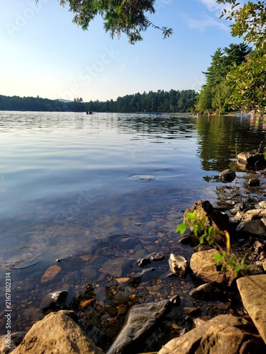 Tranquil clear lake shore with shallow rocky water in the foreground, surrounded by dense pine forest under a calm sky during a sunny day.