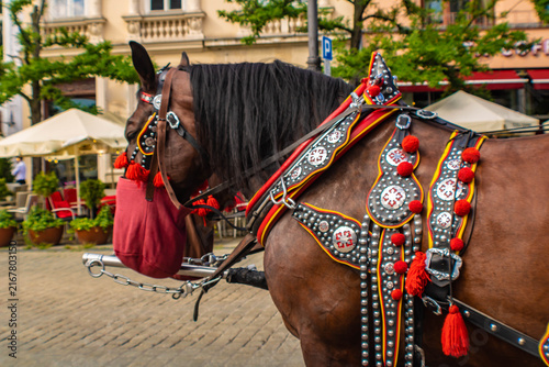Foto Carriage horse adornments on the Kraków's Main Market Square (Rynek Główny), Pol