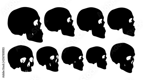Bild auf Leinwand Collection of Black Skull Silhouettes for Design Projects.