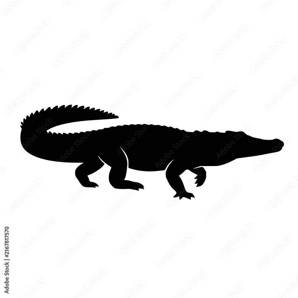 Obraz premium Saltwater crocodile walking vector silhouette transparent png
