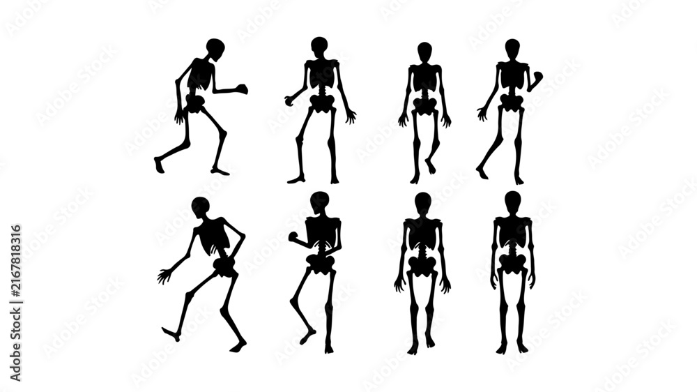 Fototapeta premium Sequence of Human Skeletons Demonstrating Movement and Exercise Postures.