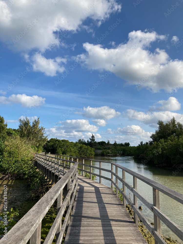 Fototapeta premium Wooden Boardwalk Through Mangrove Wetland in Okinawa, Japan
