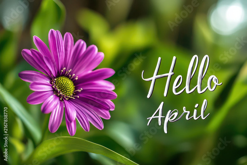 Vibrant purple flower greeting april
