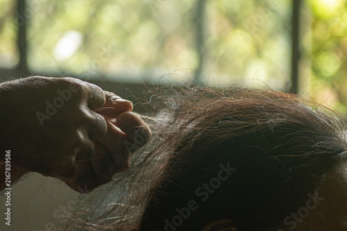 Photography Hands carefully plucking white grey hair from an elderly person's head