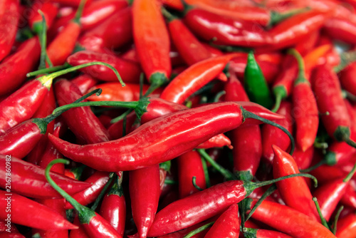 Pimenta dedo de moça or Lady's Little Finger, Brazillian chili