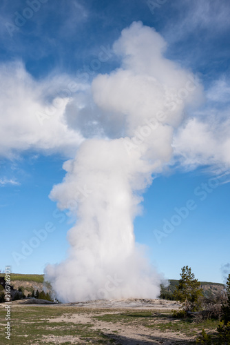 Fotografie Famous Old Faithful cone geyser erupting on a sunny day, summer tourism at Yello