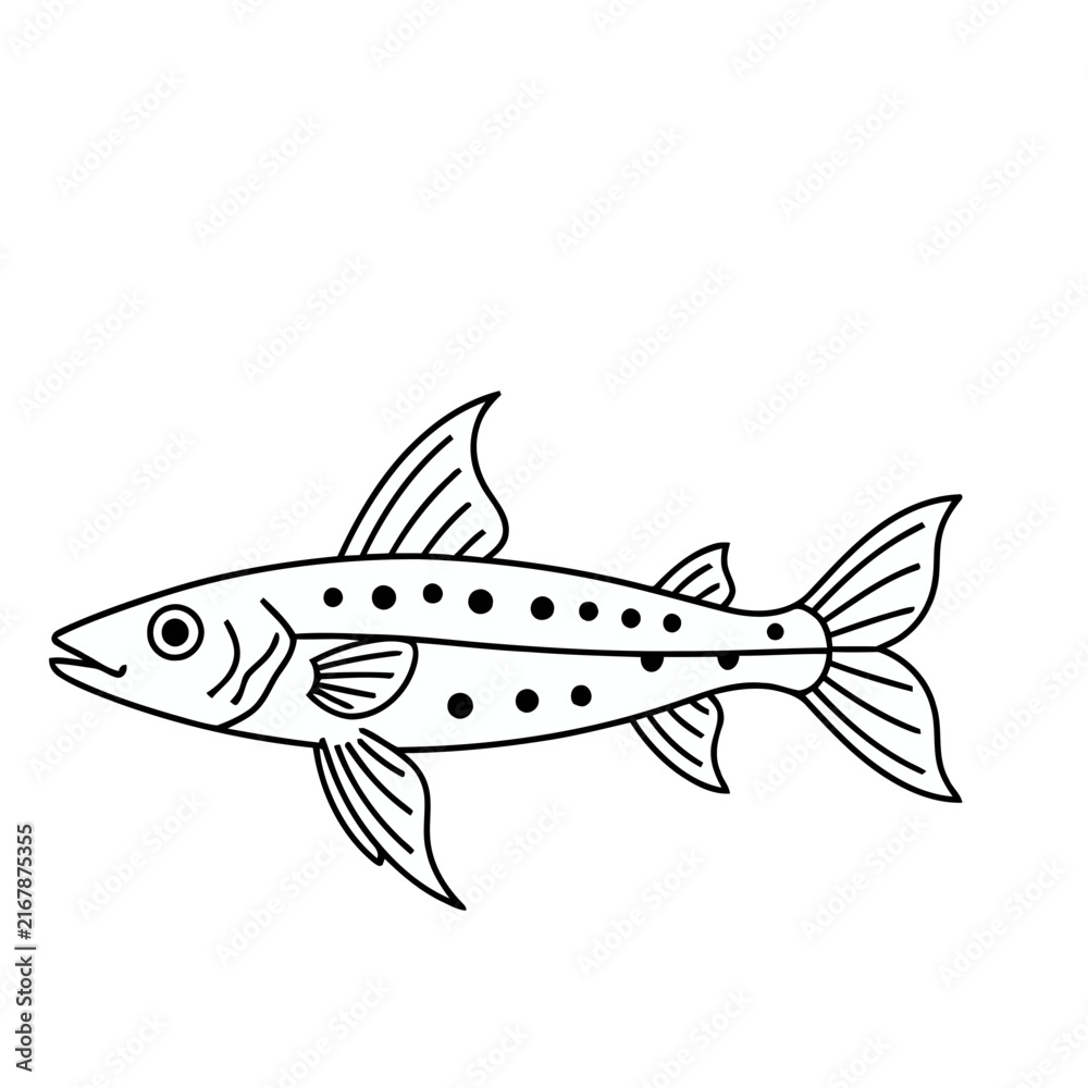 Fototapeta premium Line art of a fish with spots