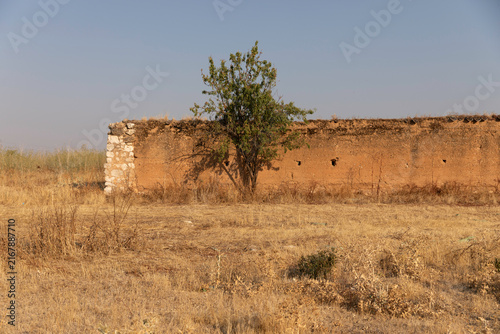 Old adobe wall and almond tree in dry summer fields, Castilla y León, Spain