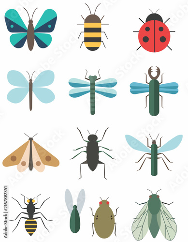 Colorful flat design illustration of various insects and butterflies.