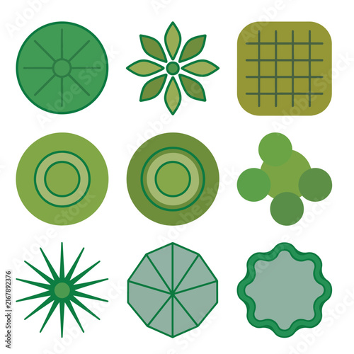 Colorful flat design illustration of various leaves and plants.