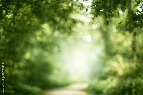 Soft blurred forest path with sun rays filtering through green leaves, creating a peaceful and ethereal atmosphere in nature