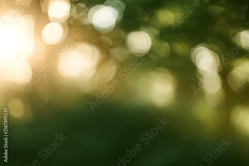 Abstract nature background with soft green and golden bokeh lights, created by sunlight filtering through forest leaves, dreamy and peaceful atmosphere
