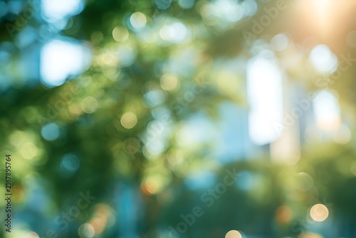 Abstract blurred nature background with sunlight filtering through green tree leaves, creating a soft bokeh effect and a peaceful atmosphere