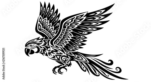 Black and white parrot in flight.