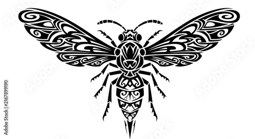 Insect with decorative wings and body.