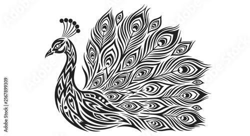 Detailed Peacock Bird Illustration Design.