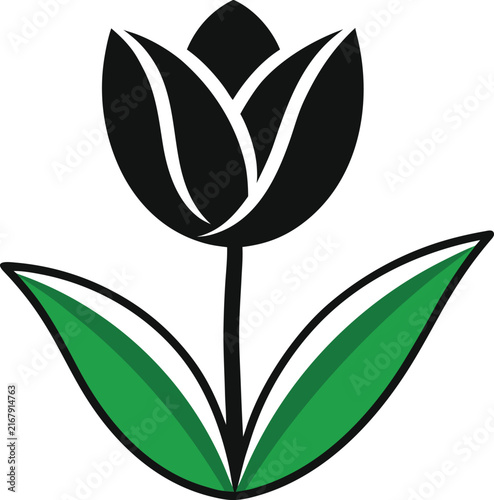 Tulip flower with green leaves vector illustration for spring time design.