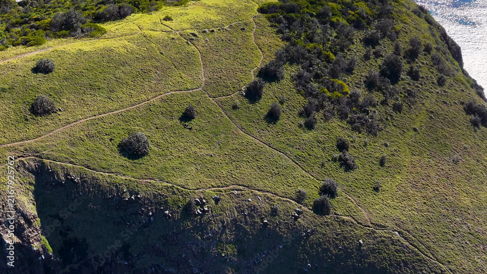 Fototapeta premium Aerial View of Grassy Coastal Cliffs and Hiking Trails at Crescent Head