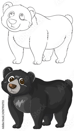 Cartoon Asian Black Bear Line Art and Colored Illustration