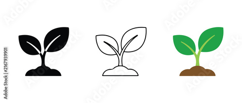 stages of seedling growth with simple line art and colored leaves isolated on transparent background