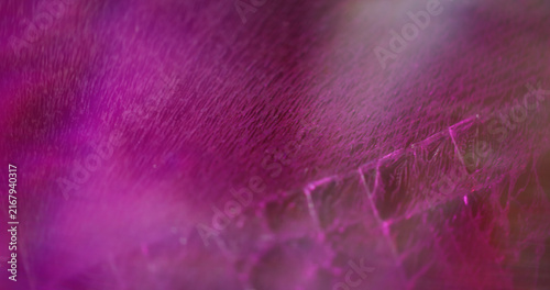 Neon shiny background. Color glow. Purple pink blue radiant flash optical film texture bright rainbow kaleidoscope on art light abstraction.