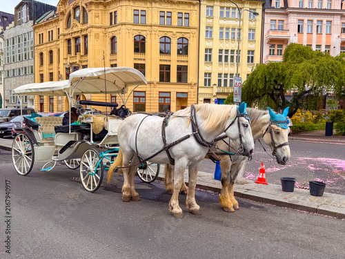 Cuadro en lienzo Horse carriage ride in Karlovy Vary, Czech Republic on a clear day