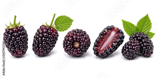 Fresh ripe blackberries arranged in a row with green leaves blackberry background isolated nutrition ingredient multiple