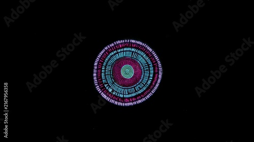 Vibrant Neon Circle Pattern on Black Background.