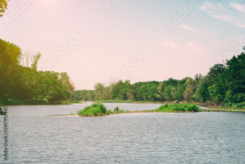 River flowing through a lush green forest
