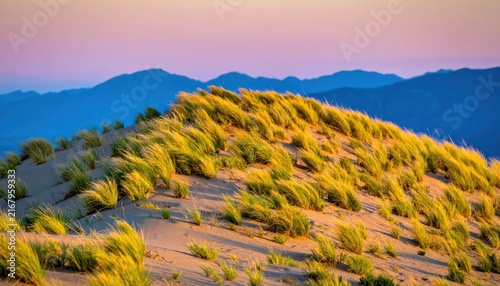 Golden desert mountain landscape at sunset.