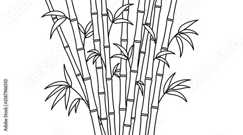 Black and white outline illustration of a cluster of slender bamboo stalks with leaves, isolated on white