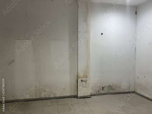 Canvastavla Empty interior room with stained white walls showing signs of moisture and deter