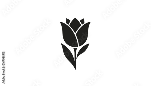 Elegant silhouette of a blooming tulip flower with stem and leaves, isolated on a clean white background.