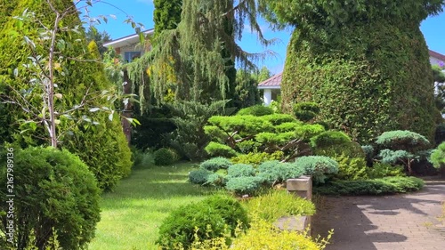 A vibrant private garden featuring shaped coniferous trees, bonsai-style junipers, tall thuja hedges, and lush green lawns under a bright blue summer sky.