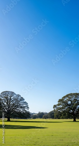 Expansive open green field with majestic, mature trees casting long shadows under a clear, brilliant blue sky, offering ample copy space and a sense of calm.