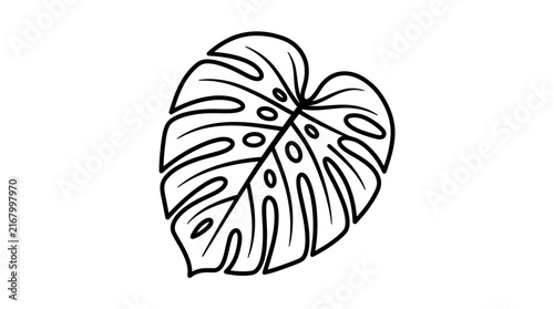 Monstera leaf line art illustration, tropical plant drawing in minimalist black and white style.