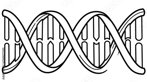 Foto Black and white outline illustration of a DNA double helix structure on a white
