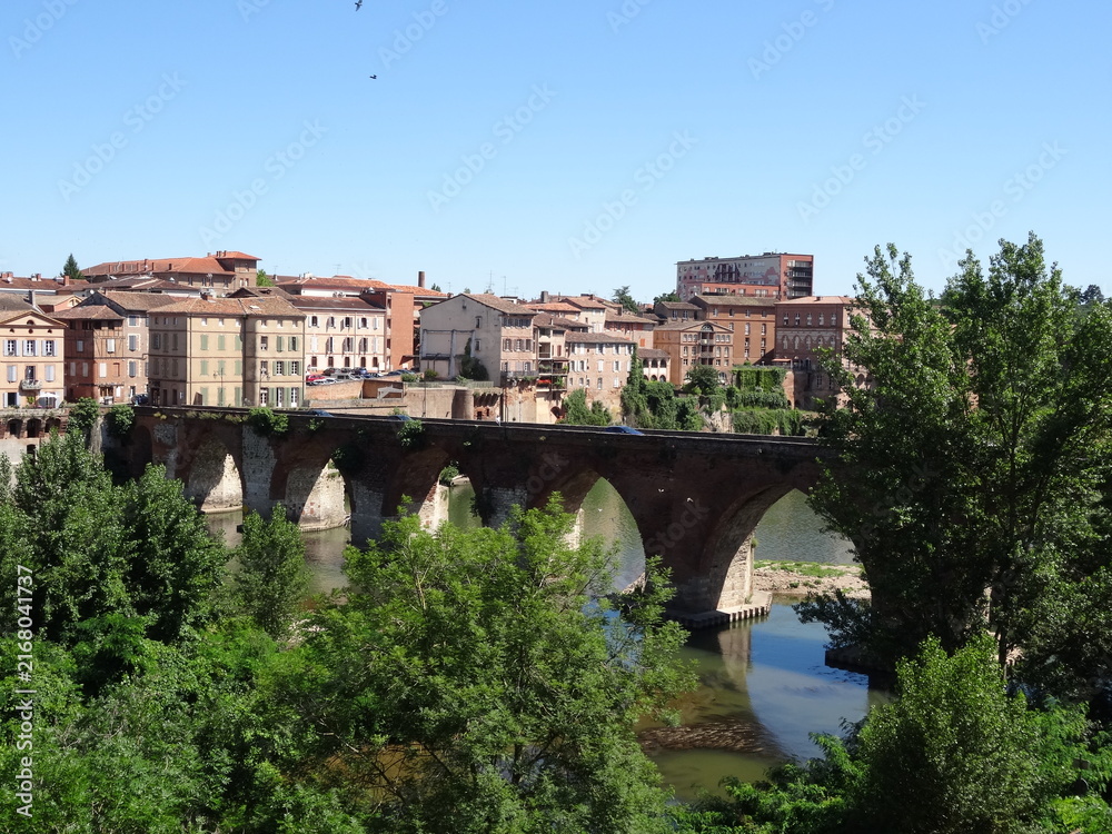 Fototapeta premium Occitanie, ville d'Albi