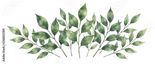 Green Leafy Branch Transparent Background